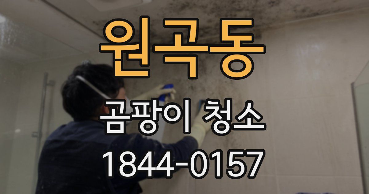 원곡동 곰팡이 청소