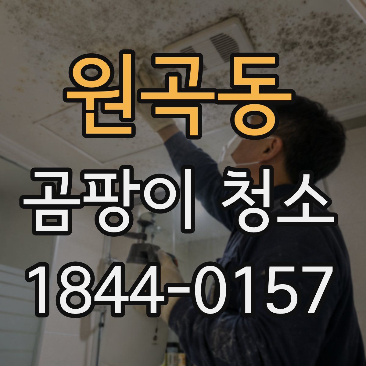원곡동 곰팡이 청소