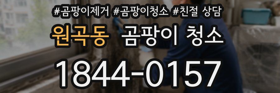 원곡동 곰팡이 청소