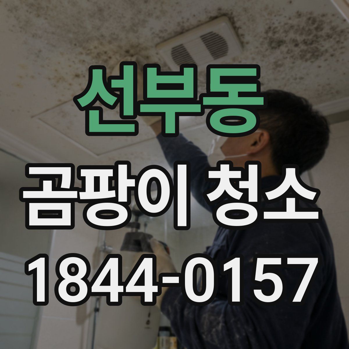 선부동 곰팡이 청소