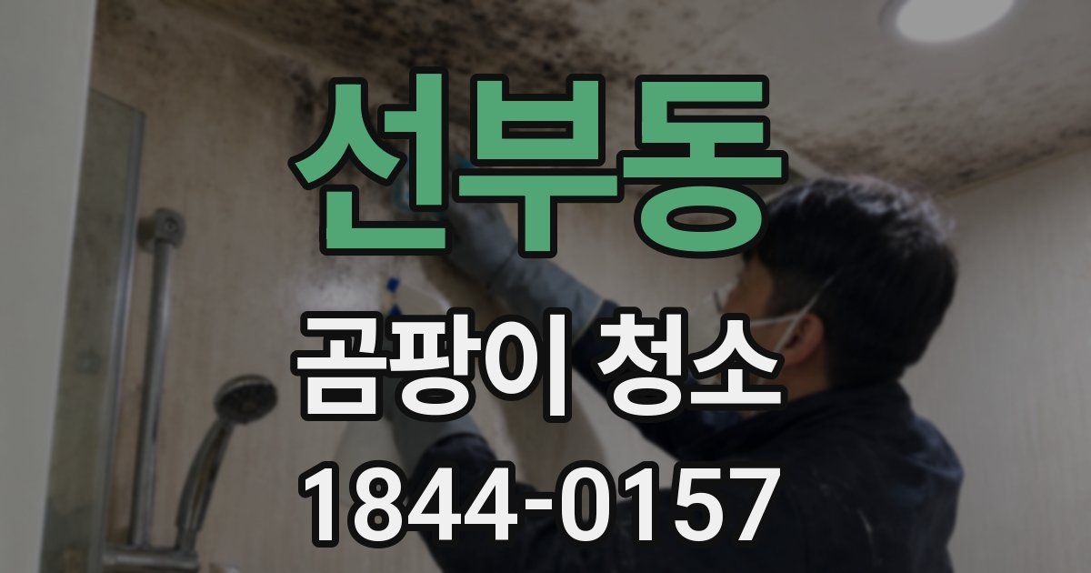 선부동 곰팡이 청소