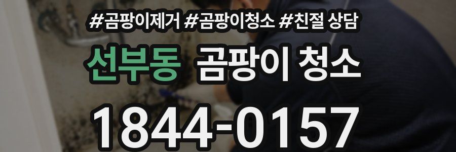 선부동 곰팡이 청소