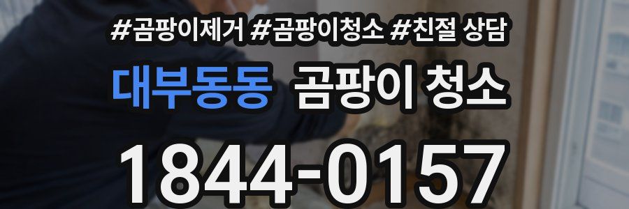 대부동동 곰팡이 청소