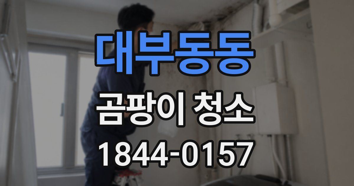 대부동동 곰팡이 청소