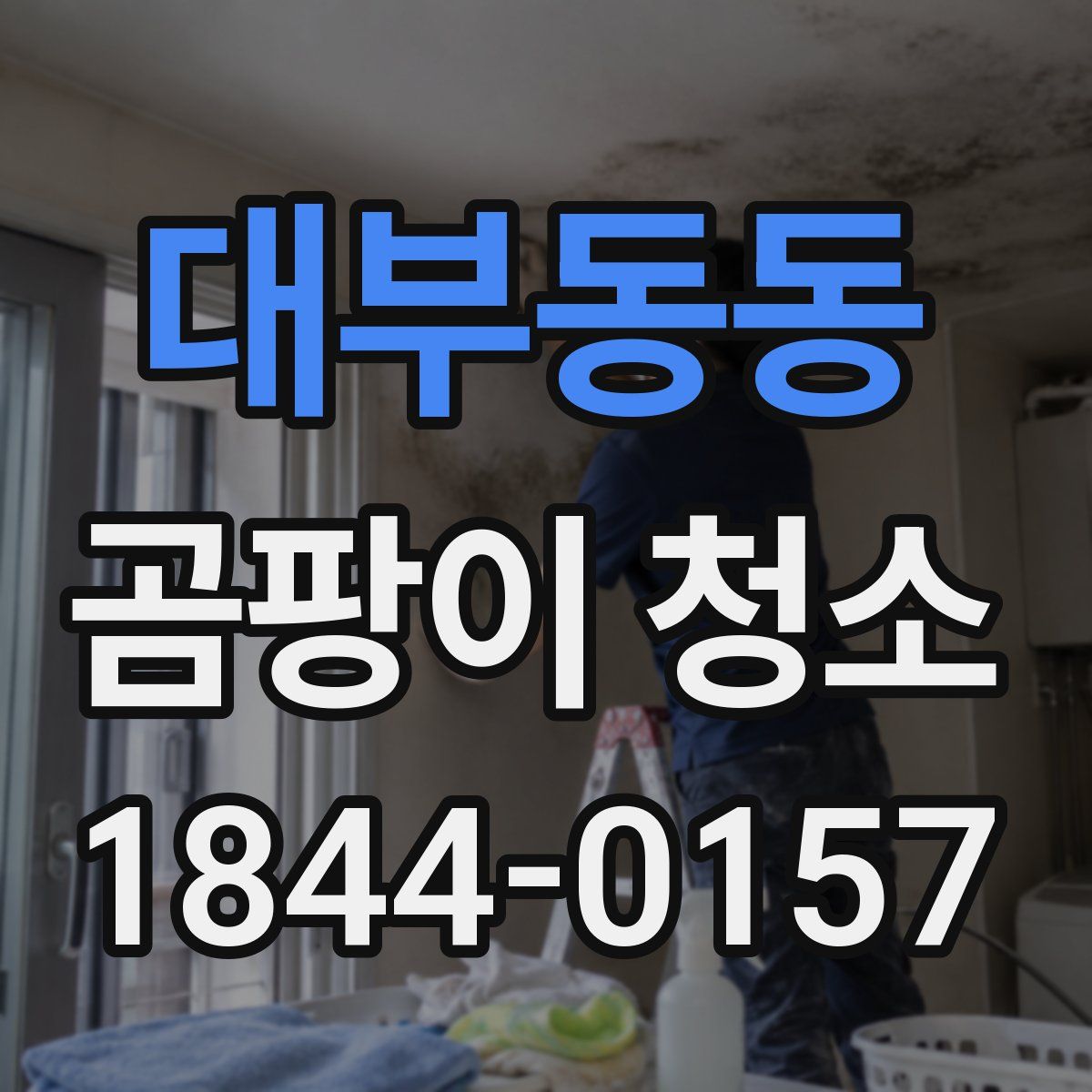 대부동동 곰팡이 청소