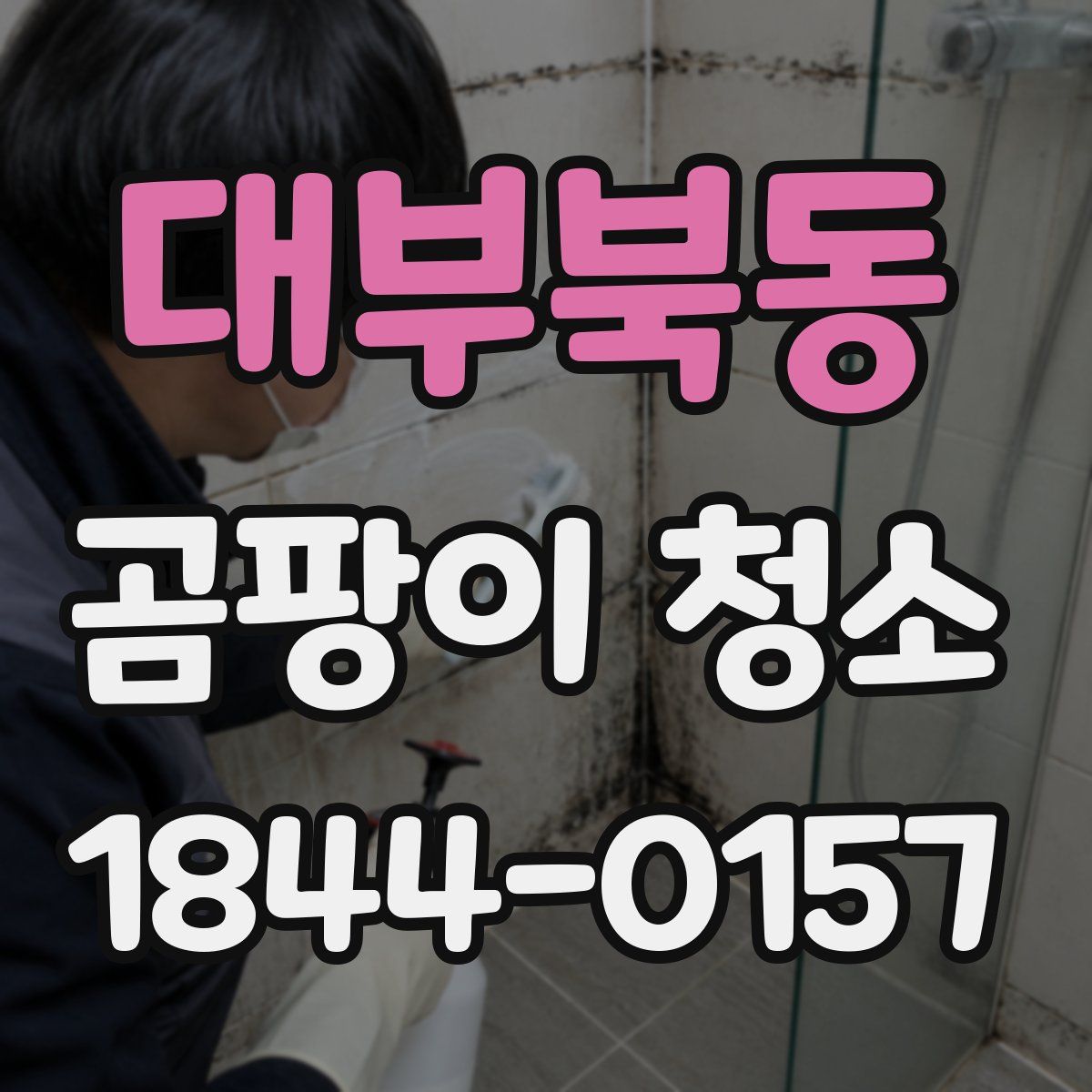 대부북동 곰팡이 청소