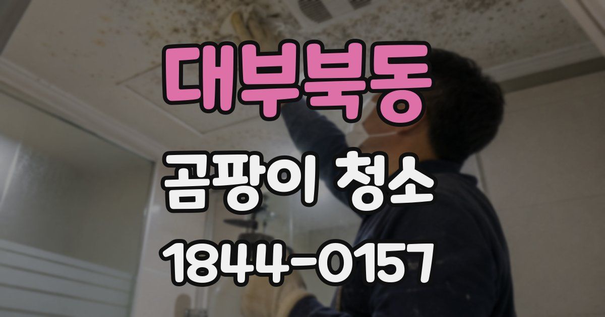 대부북동 곰팡이 청소