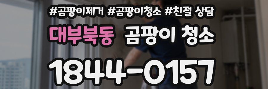 대부북동 곰팡이 청소