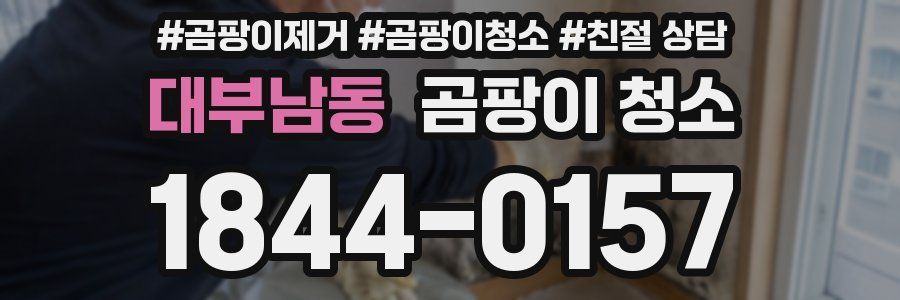 대부남동 곰팡이 청소