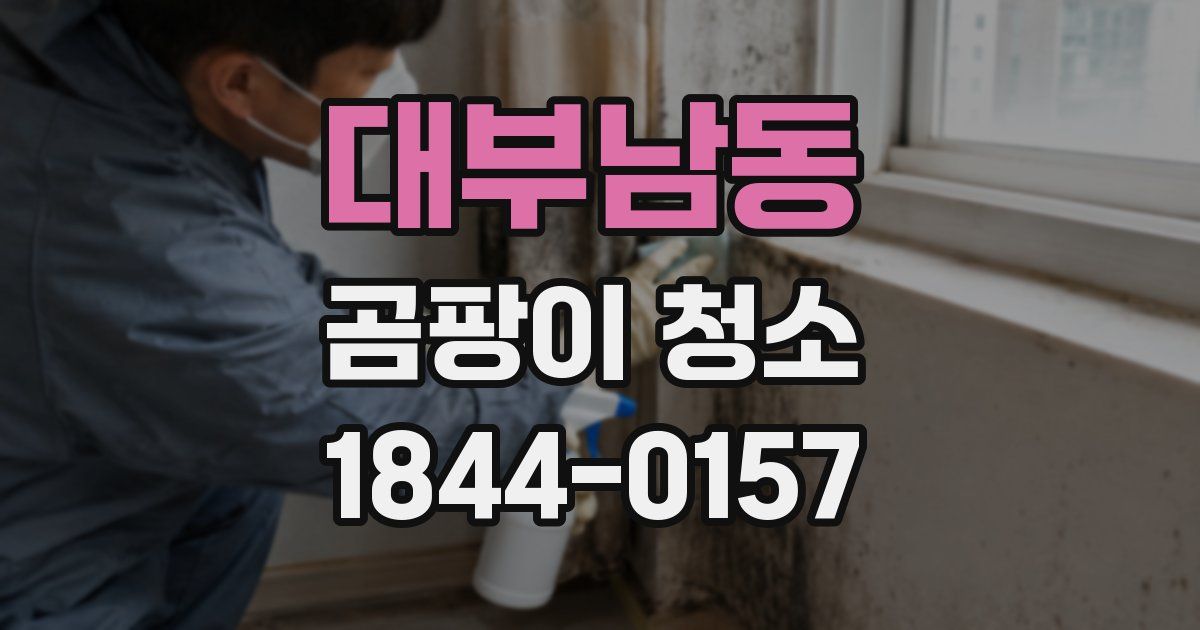 대부남동 곰팡이 청소