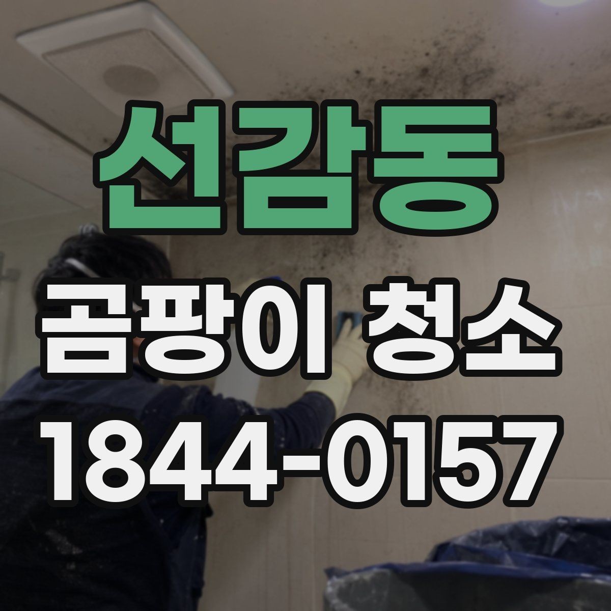 선감동 곰팡이 청소 후 생활 습관을 바꾸는 이유