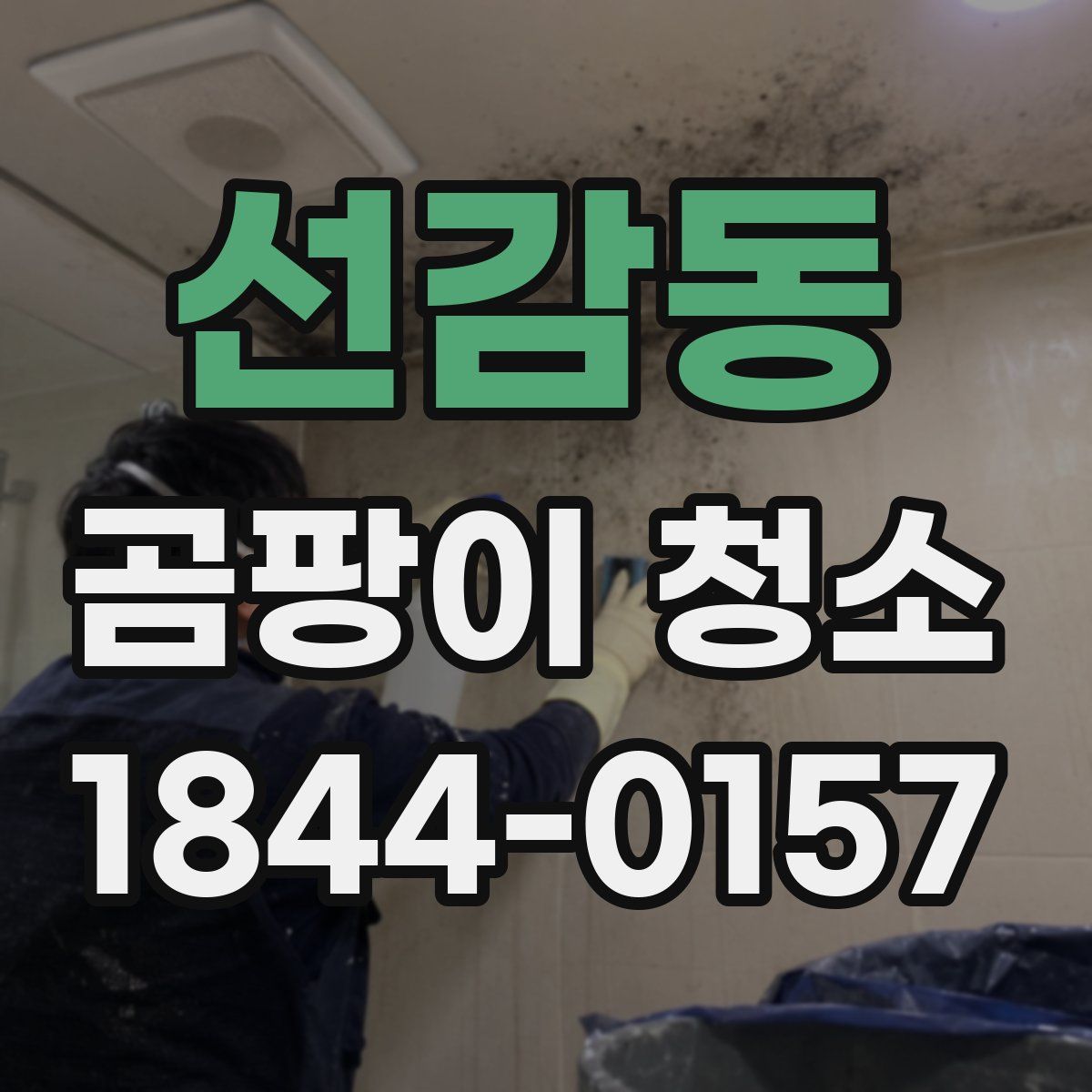 선감동 곰팡이 청소