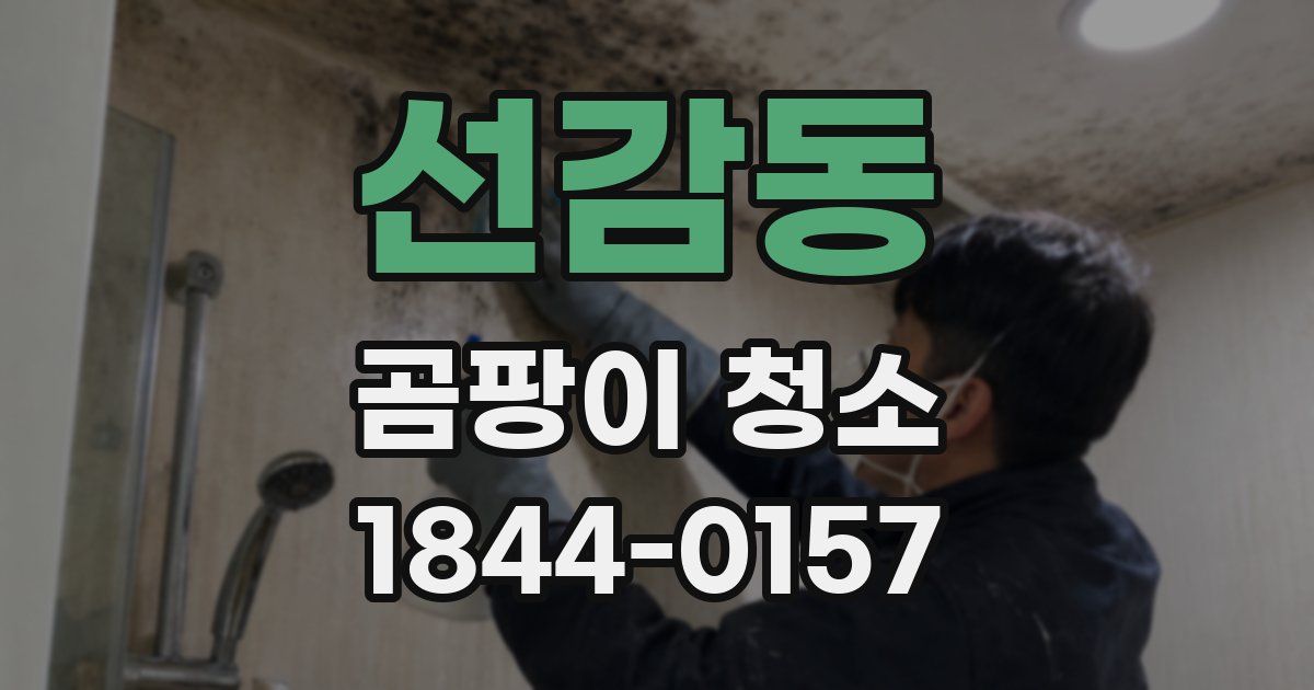 선감동 곰팡이 청소