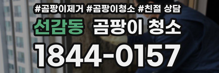 선감동 곰팡이 청소