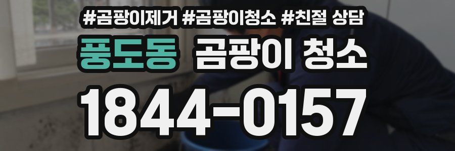풍도동 곰팡이 청소