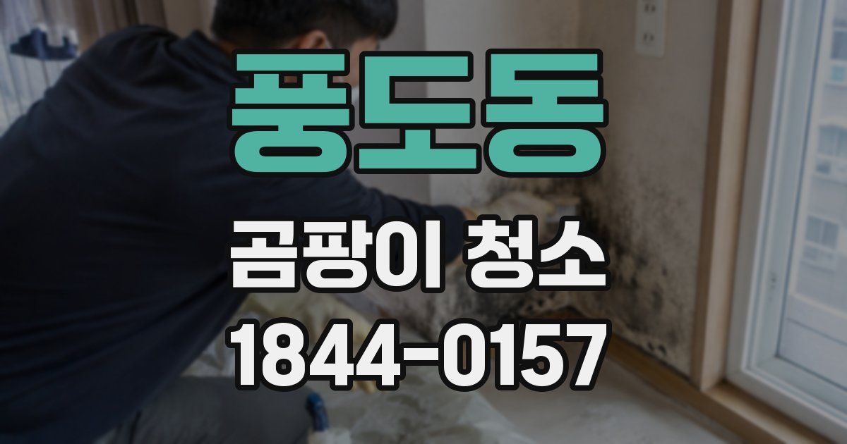 풍도동 곰팡이 청소