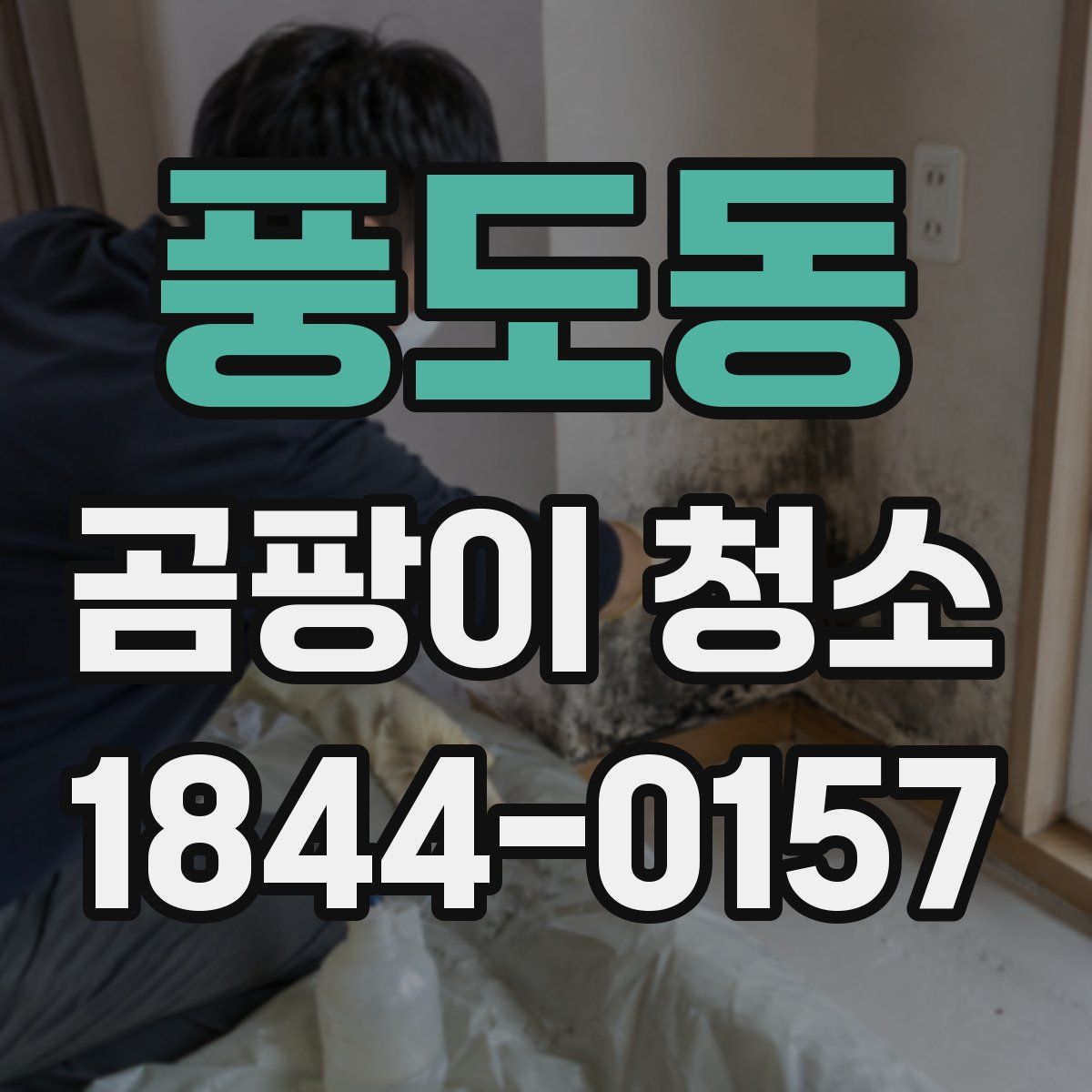 풍도동 곰팡이 청소