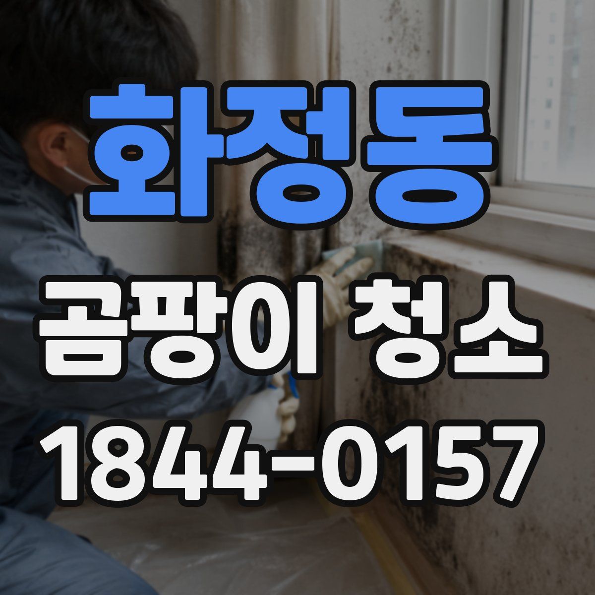 화정동 곰팡이 청소