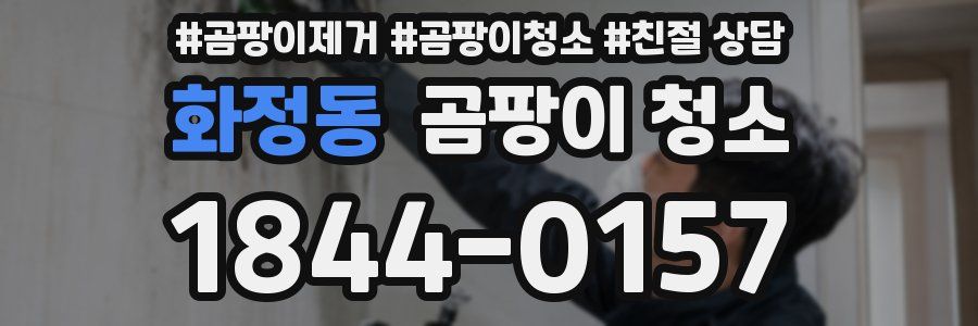 화정동 곰팡이 청소