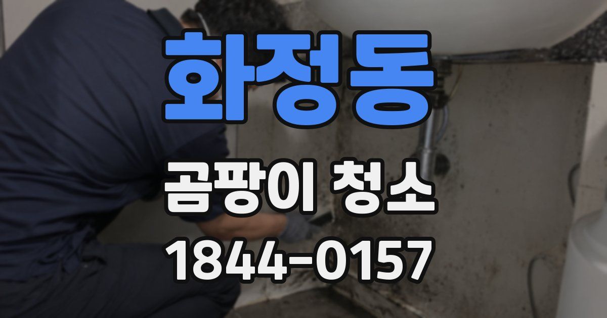 화정동 곰팡이 청소