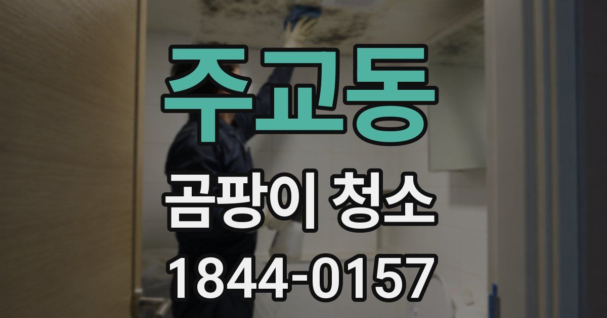 주교동 곰팡이 청소