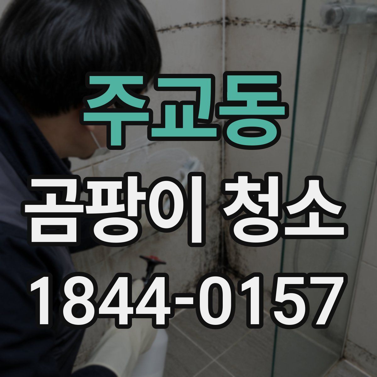 주교동 곰팡이 청소