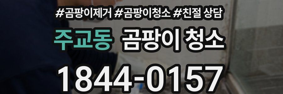 주교동 곰팡이 청소