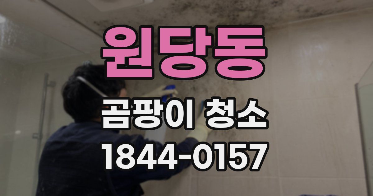 원당동 곰팡이 청소