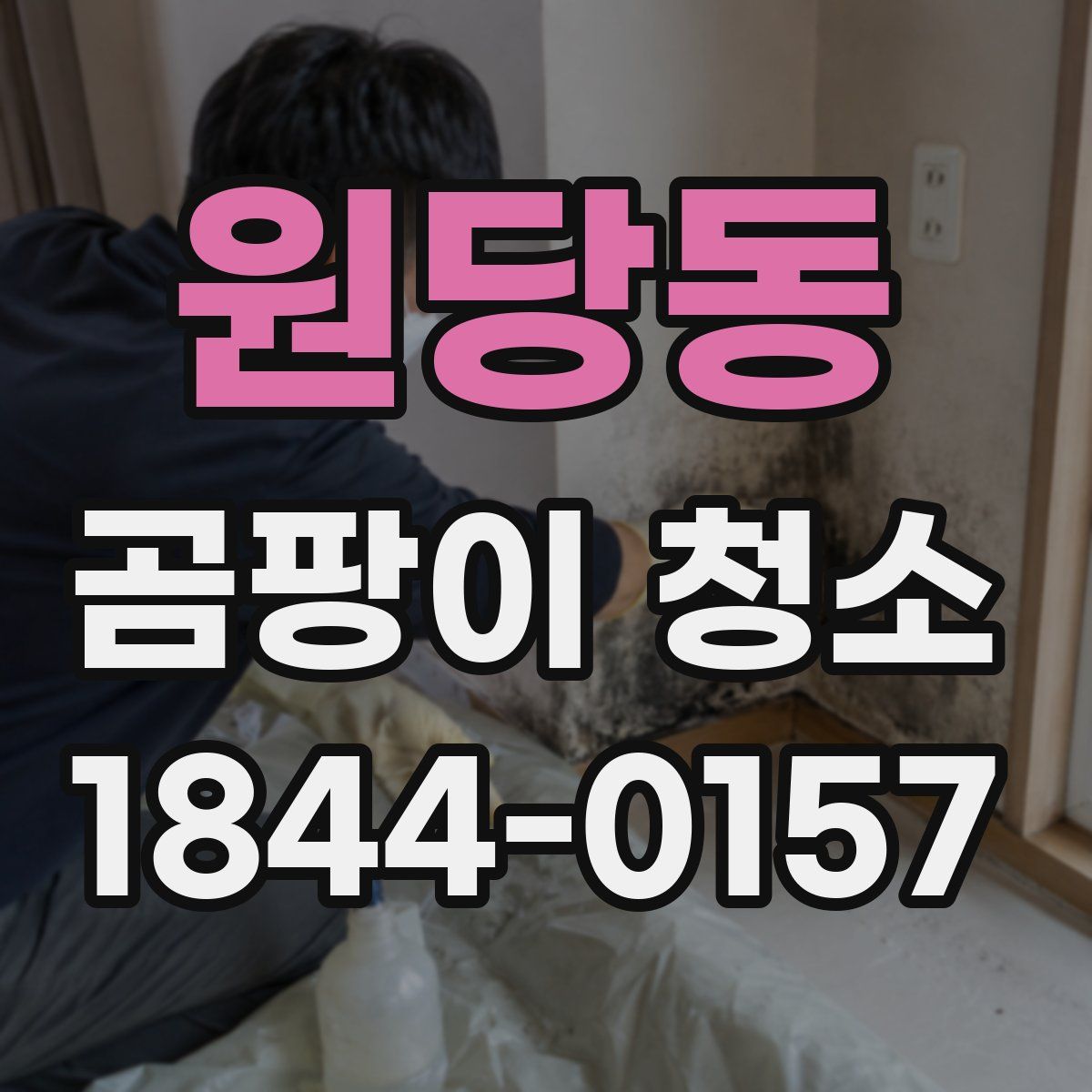 원당동 곰팡이 청소