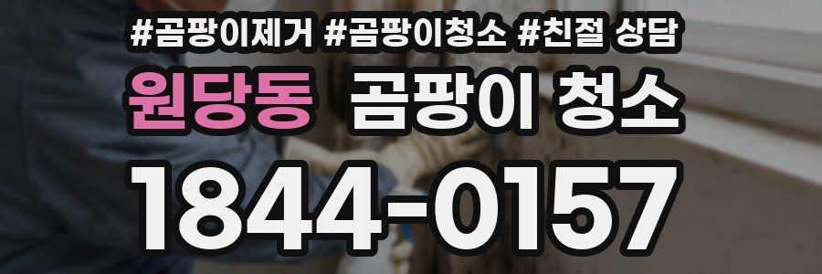 원당동 곰팡이 청소