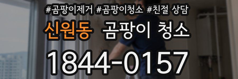 신원동 곰팡이 청소