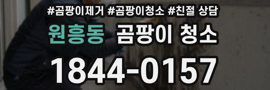 원흥동 곰팡이 청소