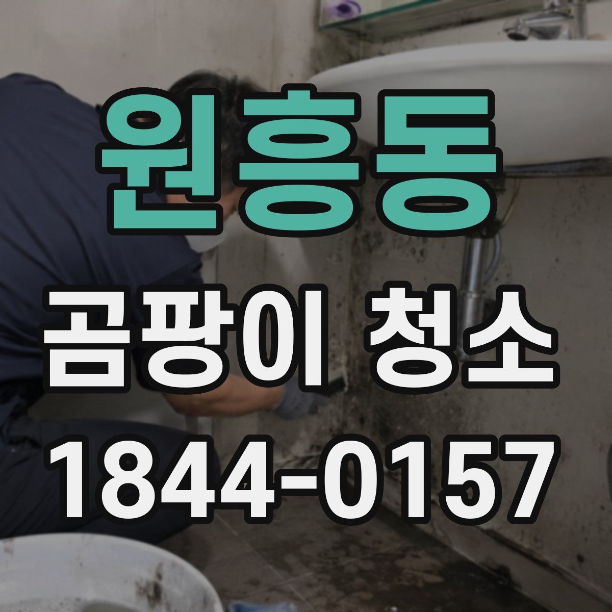 원흥동 곰팡이 청소