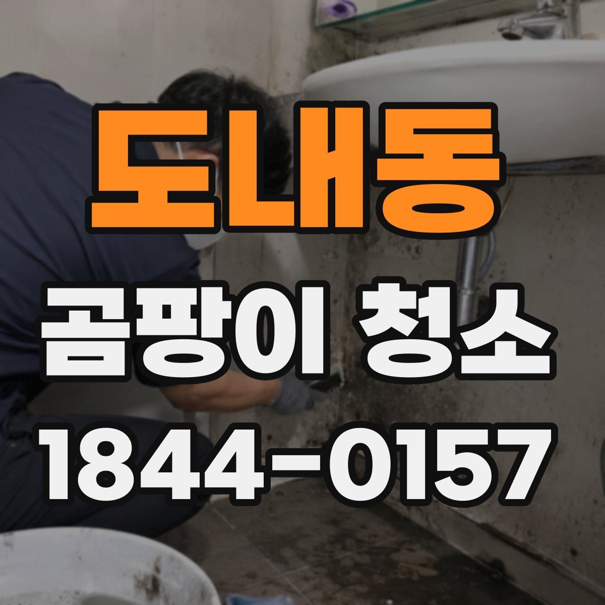 도내동 곰팡이 청소