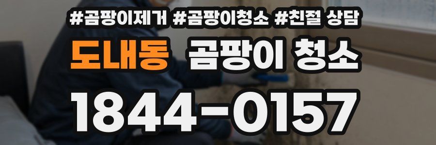 도내동 곰팡이 청소