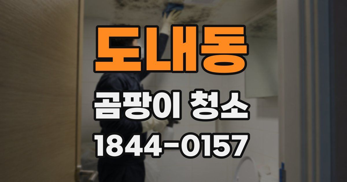 도내동 곰팡이 청소