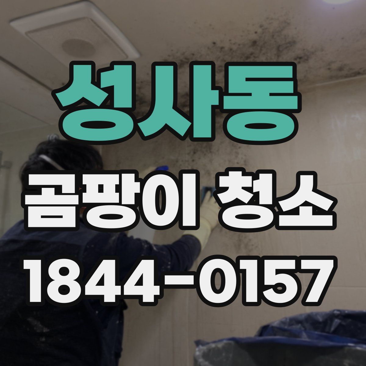 성사동 곰팡이 청소