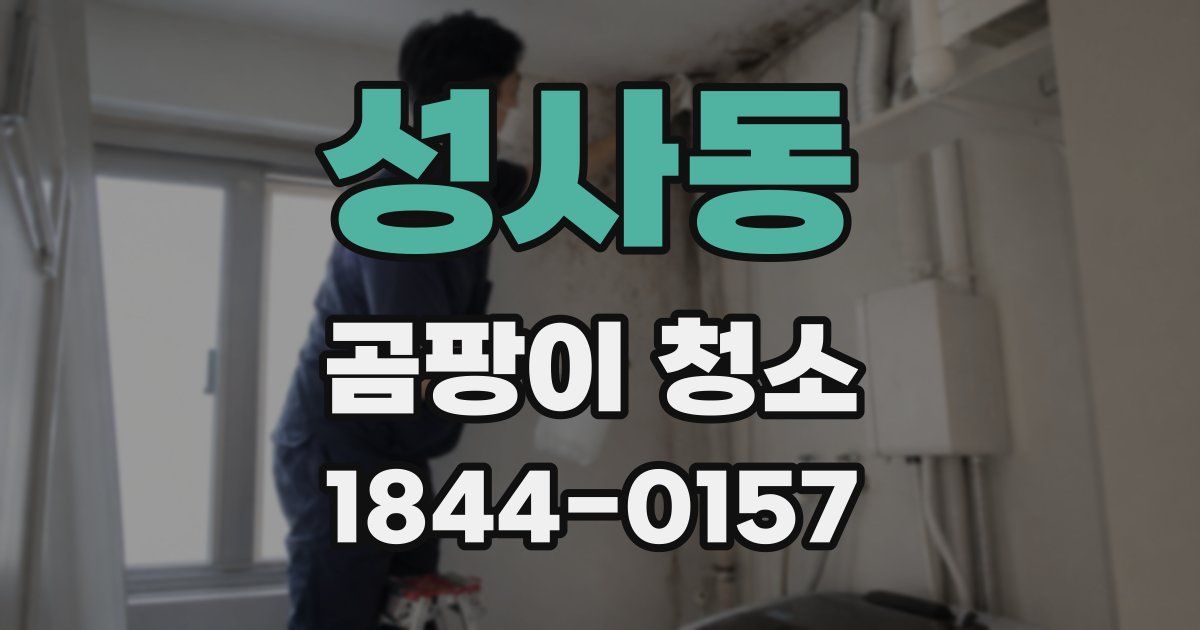 성사동 곰팡이 청소