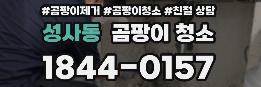 성사동 곰팡이 청소