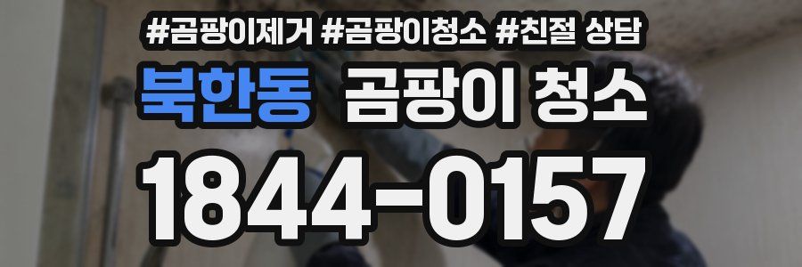 북한동 곰팡이 청소