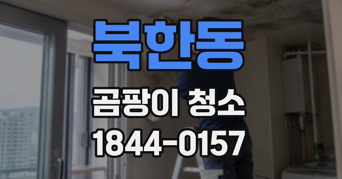 북한동 곰팡이 청소