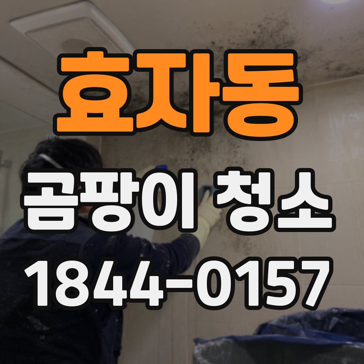 효자동 곰팡이 청소
