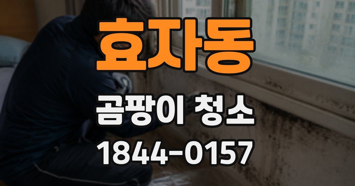 효자동 곰팡이 청소