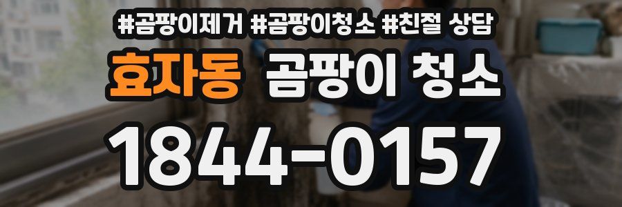 효자동 곰팡이 청소