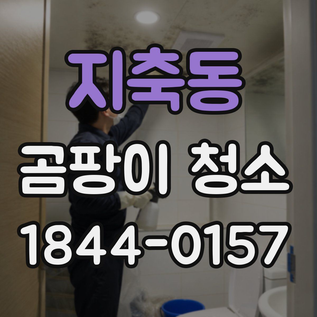 지축동 곰팡이 청소