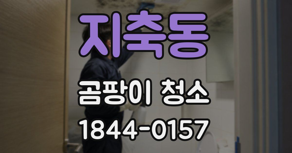 지축동 곰팡이 청소