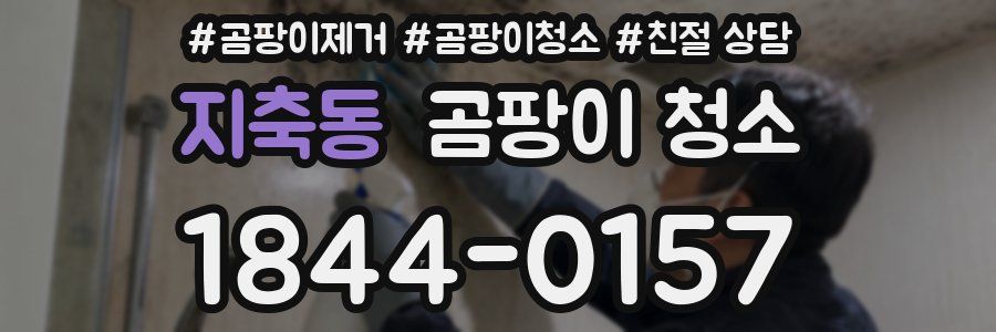 지축동 곰팡이 청소
