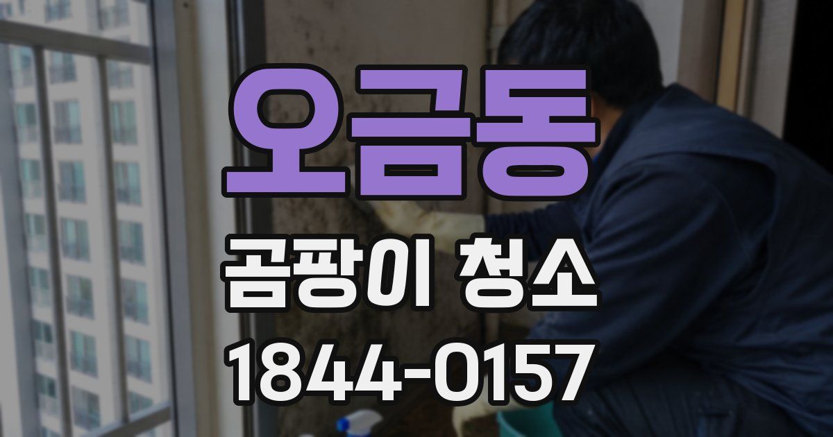오금동 곰팡이 청소