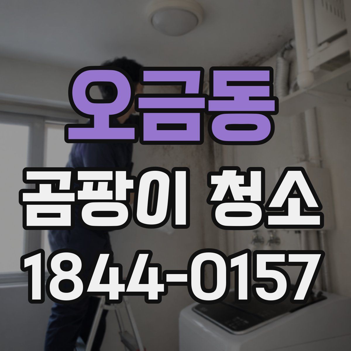 오금동 곰팡이 청소