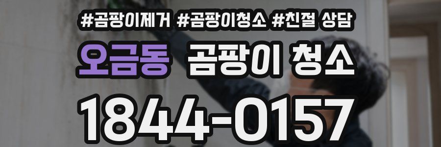 오금동 곰팡이 청소